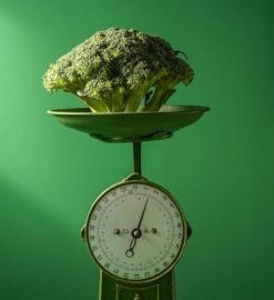 hcg 500 calorie diet plan pdf