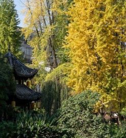 fluent python 2nd edition pdf