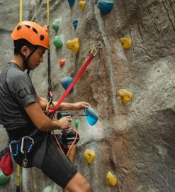 honeywell th8320u1008 installation manual pdf